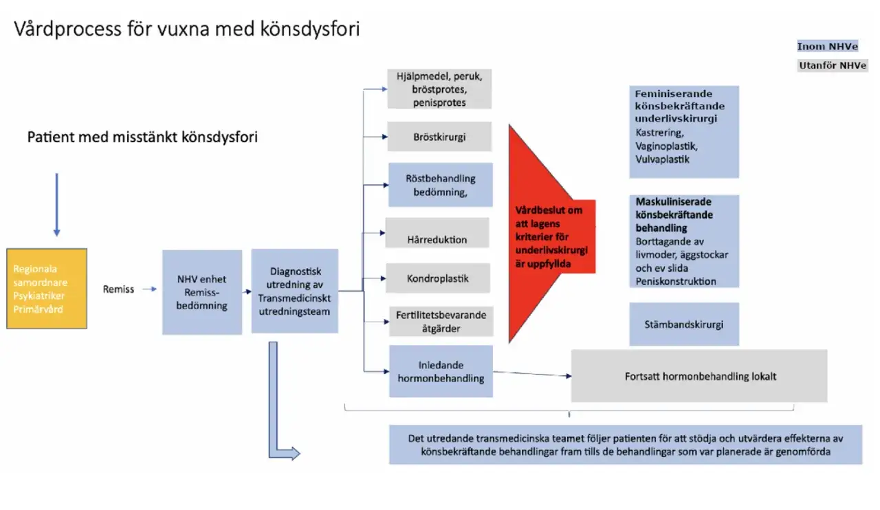 Flödesschema för vårdprocessen vid könsdysfori, inklusive psykosocial utredning, medicinska bedömningar och kirurgiska ingrepp.
