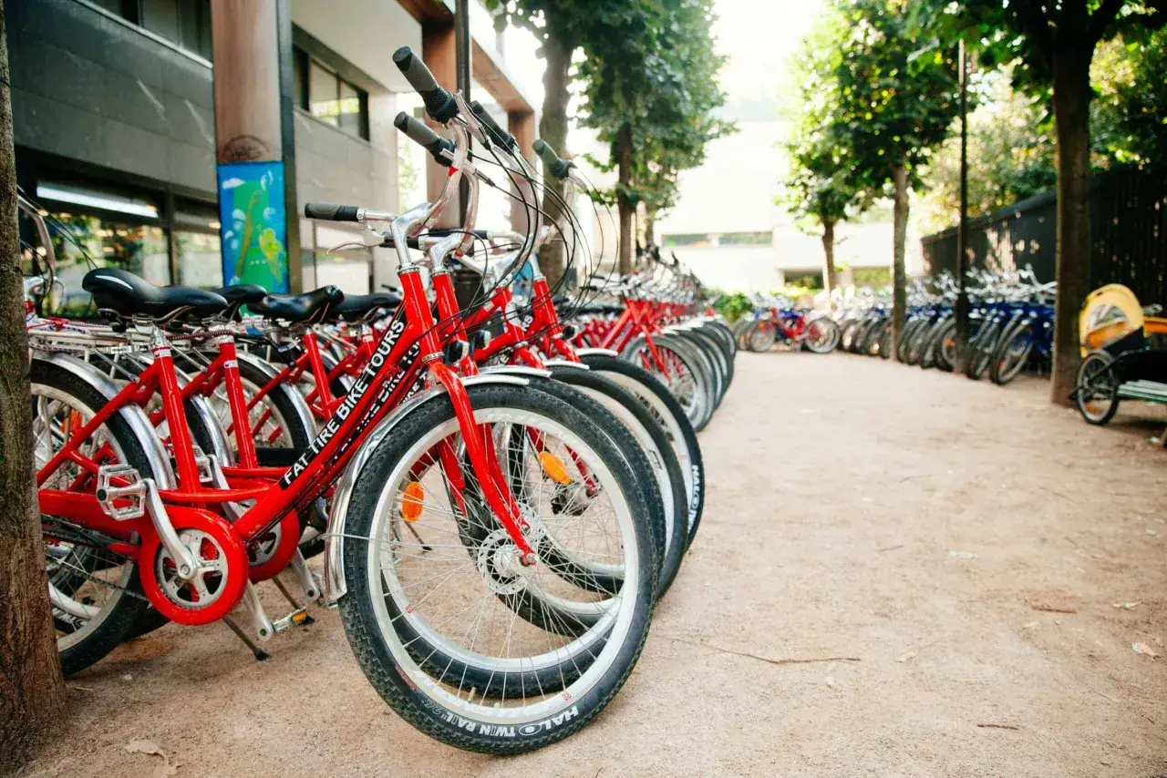 A row of red fat tire bikes, perfect for exploring any terrain, are parked outdoors.