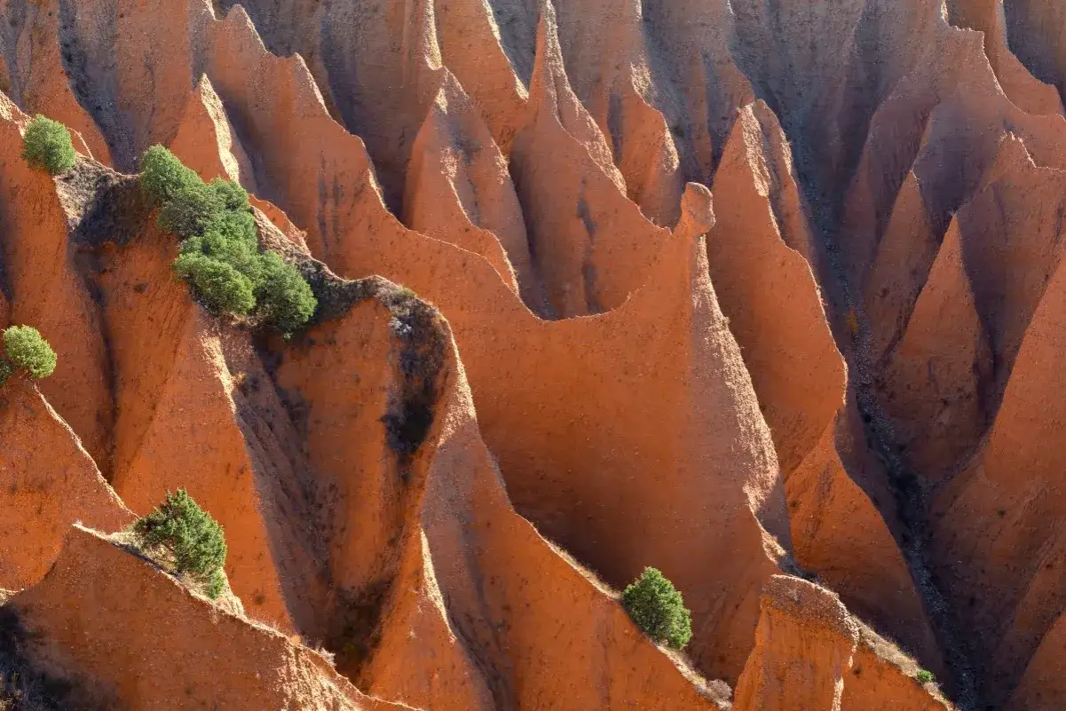 Las **carcavas de Patones** forman un paisaje erosionado de tonos rojizos, con picos y valles esculpidos por el tiempo. Pequeños árboles verdes salpican las laderas.