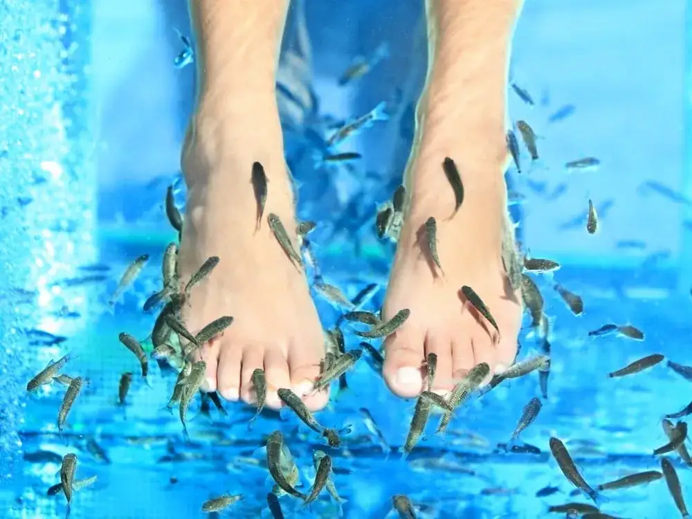 fish spa zabieg