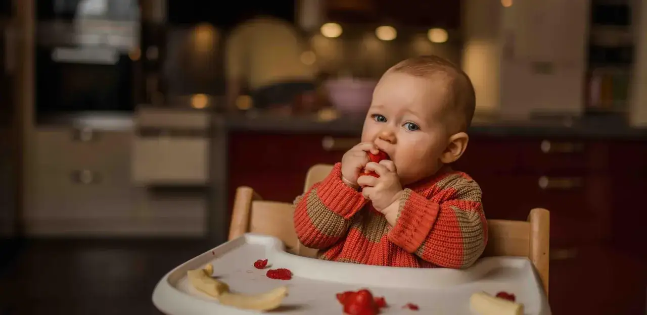 Ein süßes Baby in einem gestreiften Pullover probiert seine ersten Erdbeeren.