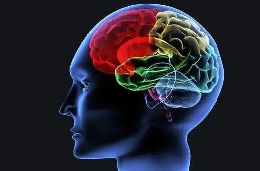 Mózg po rzuceniu palenia neuroprzekaźniki