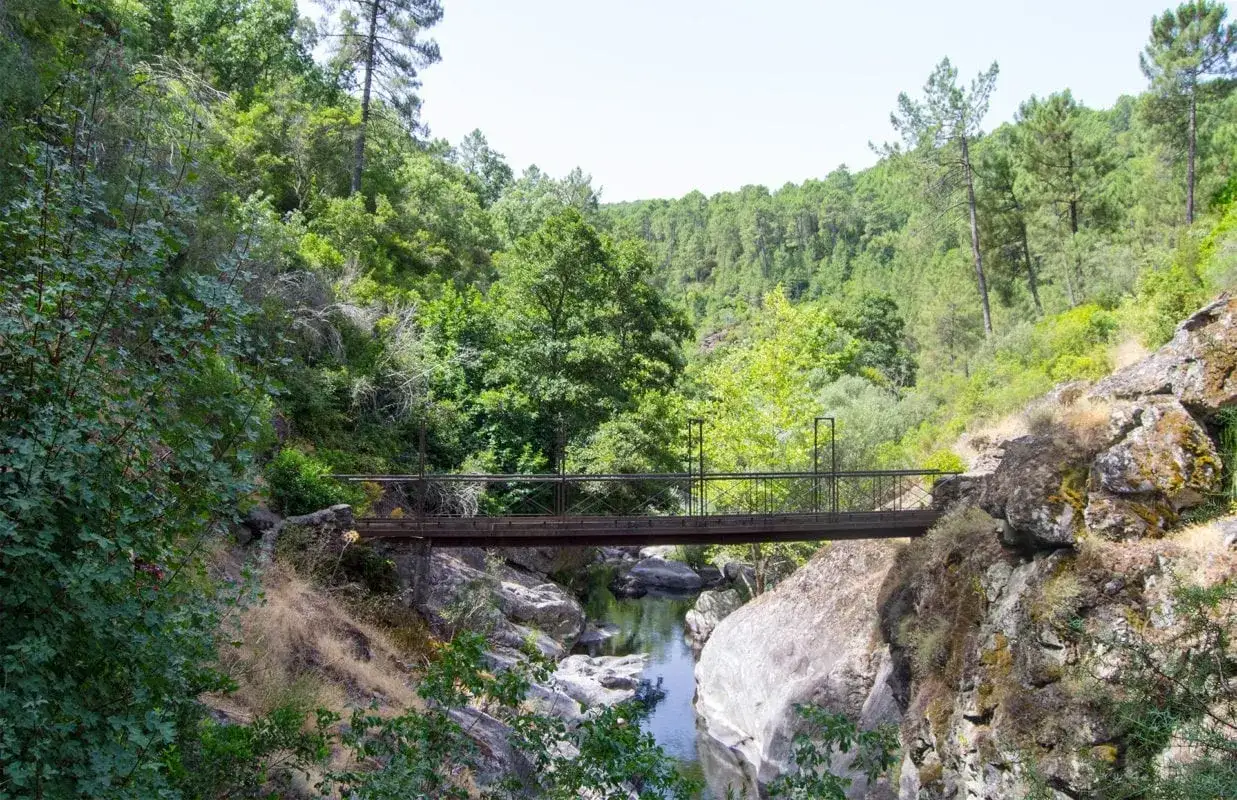 Puente met&aacute;lico sobre un r&iacute;o rocoso, parte del camino de San Pedro, rodeado de exuberante vegetaci&oacute;n y &aacute;rboles frondosos.