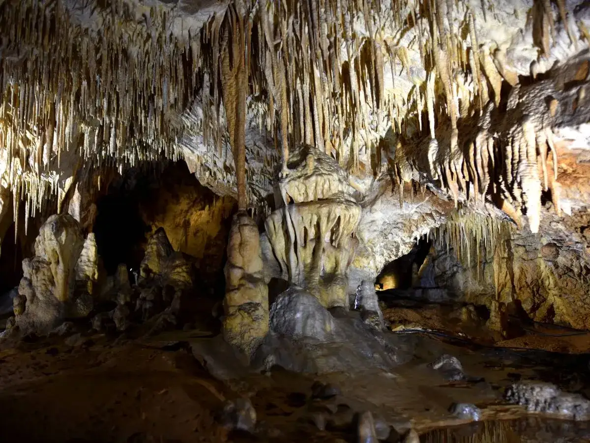 Niesamowite formacje skalne w jaskini, jedne z wielu **Chęciny atrakcje**. Stalaktyty i stalagmity tworzą bajkowy krajobraz.