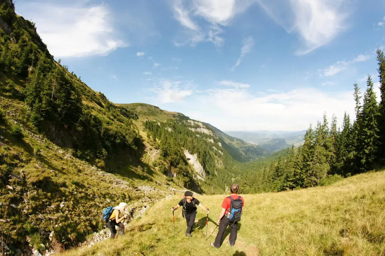 Drei Wanderer genie&szlig;en das **Karpaten Wandern** auf einem sonnigen Hang mit Blick ins Tal.
