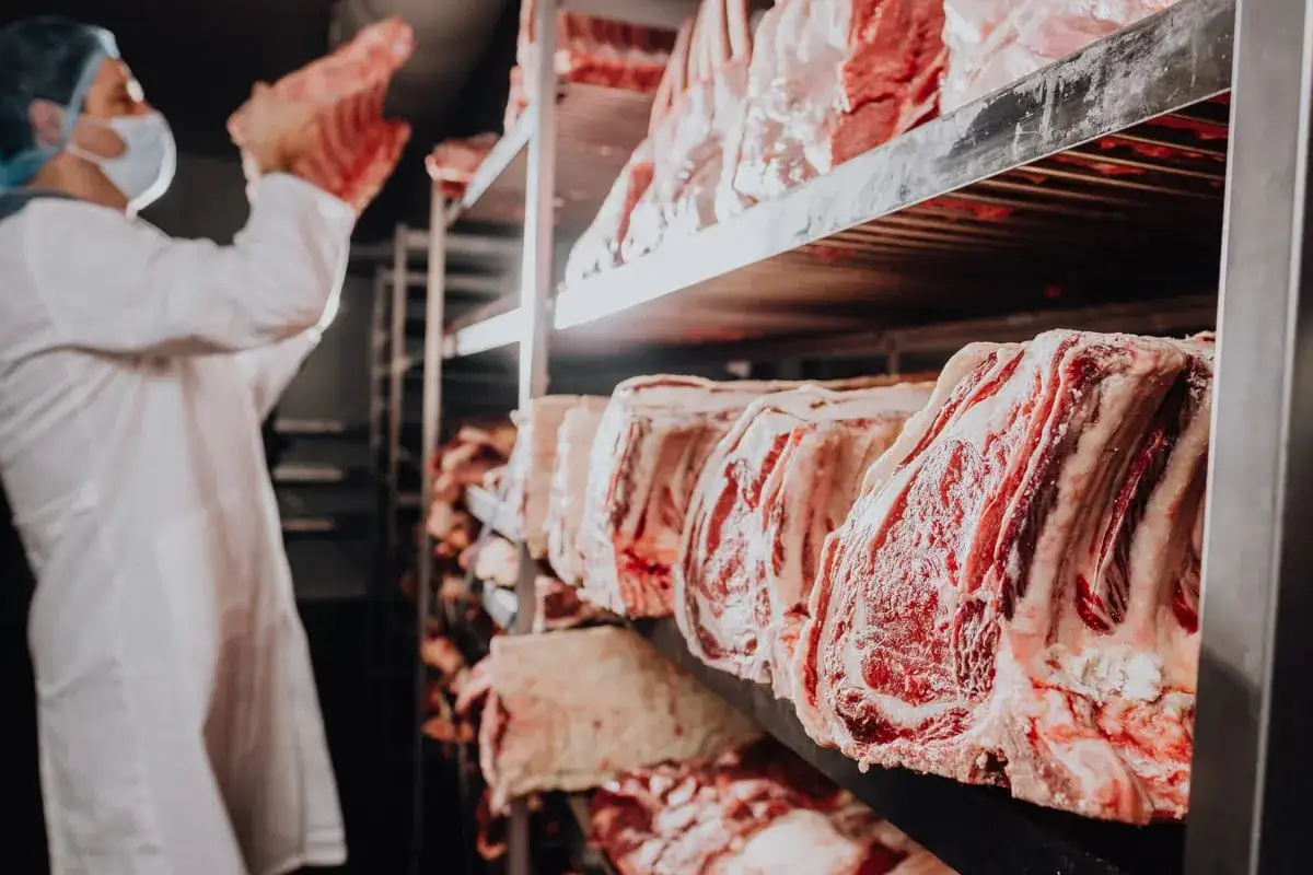 Fleisch wird in einem K&uuml;hlraum f&uuml;r die Reifung gelagert. Ein Metzger mit Maske und Kittel pr&uuml;ft die Qualit&auml;t der Fleischst&uuml;cke, die f&uuml;r das Fleisch fermentieren vorbereitet werden.