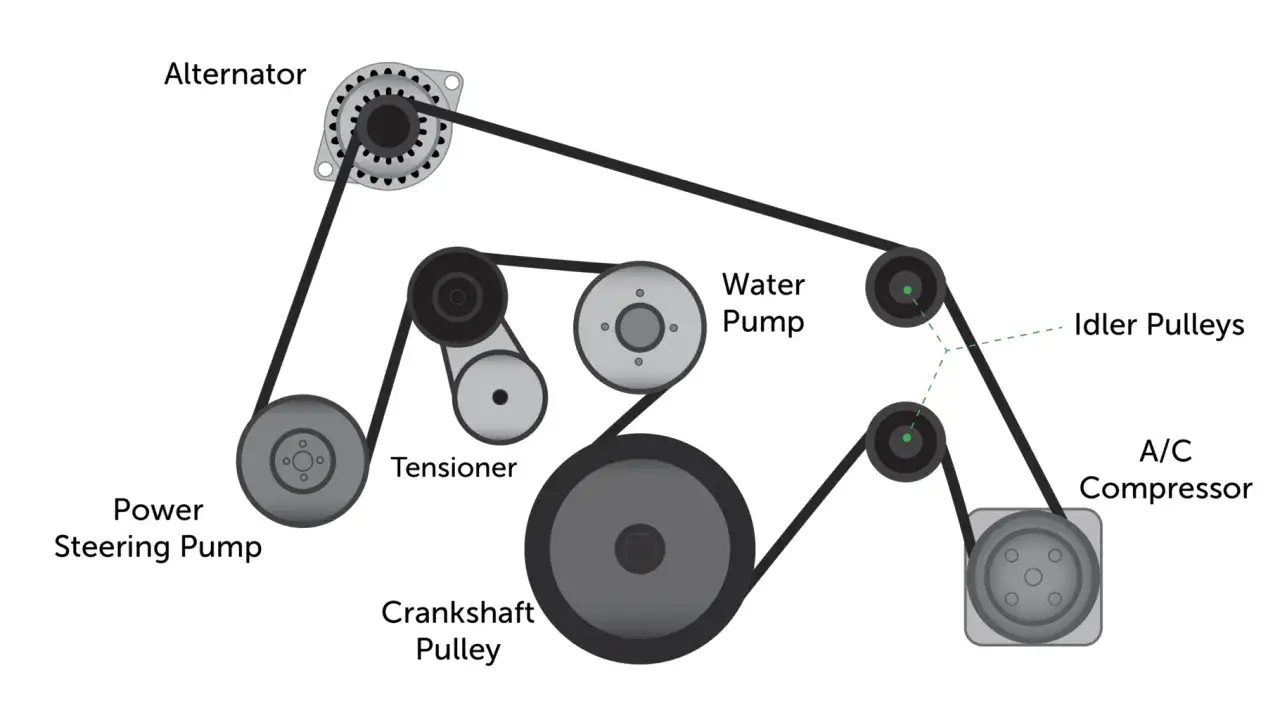 Diagrama de la distribución de un coche: correa, poleas (cigüeñal, alternador, bomba de agua, dirección asistida, A/C) y tensor.
