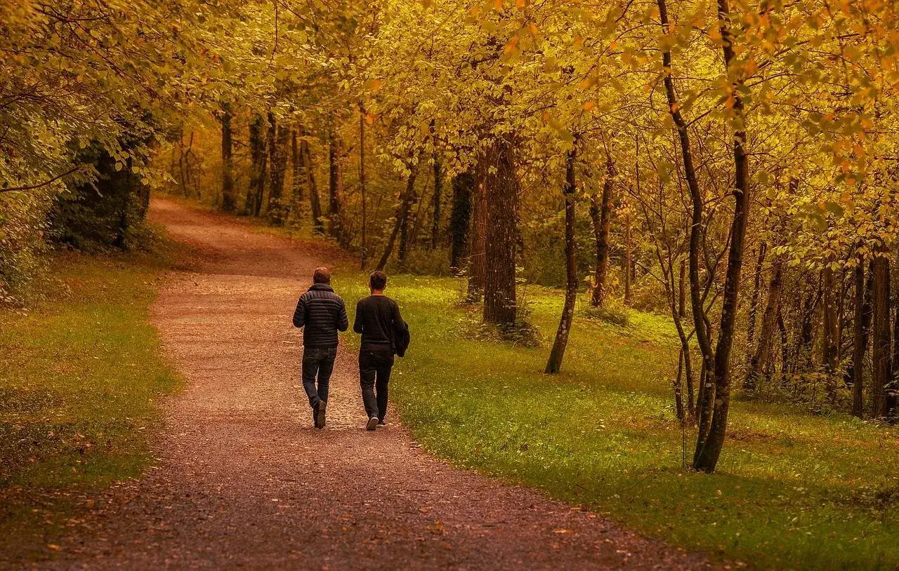Twee mannen lopen hand in hand over een herfstpad, omringd door gouden bladeren. Liefde is tijd maken voor elkaar, zelfs in de natuur.