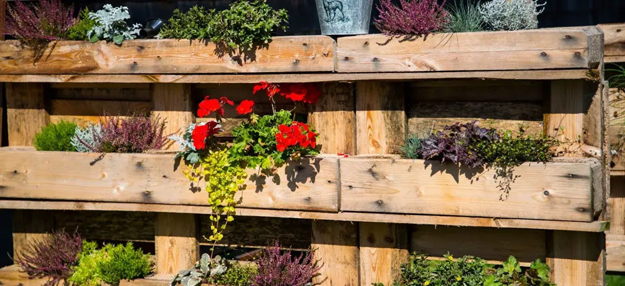 Sichtschutz aus Paletten mit bunten Blumen und Heidekraut. Eine kreative und natürliche Gartendekoration.