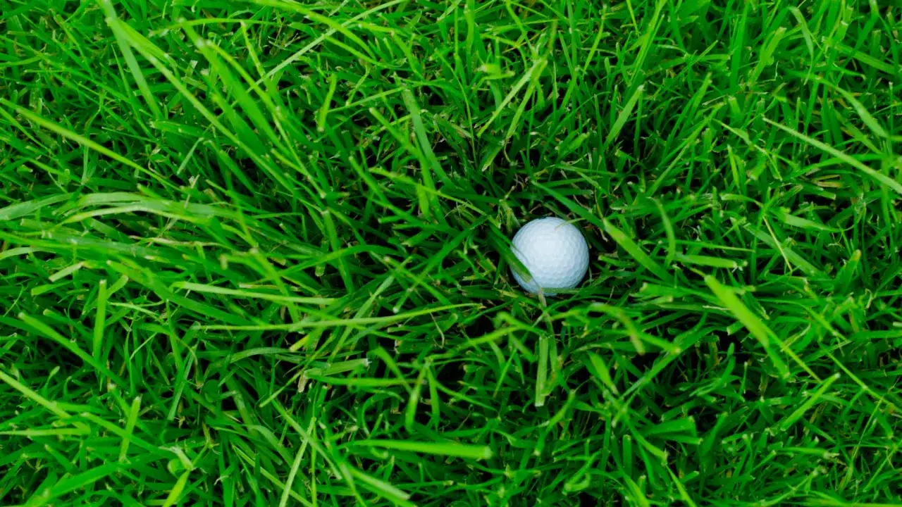 En vit golfboll ligger g&ouml;md i det frodiga gr&ouml;na gr&auml;set. Perfekt f&ouml;r en golf flyer!