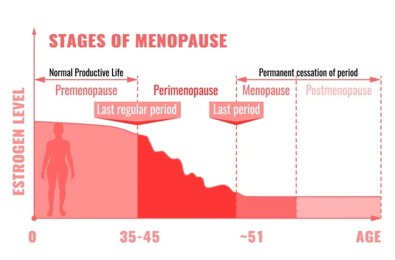 Wykres pokazuje etapy menopauzy: premenopauzę, perimenopauzę, menopauzę i postmenopauzę, ilustrując spadek poziomu estrogenu. Wiele kobiet dyskutuje na forum, ile trwa menopauza.