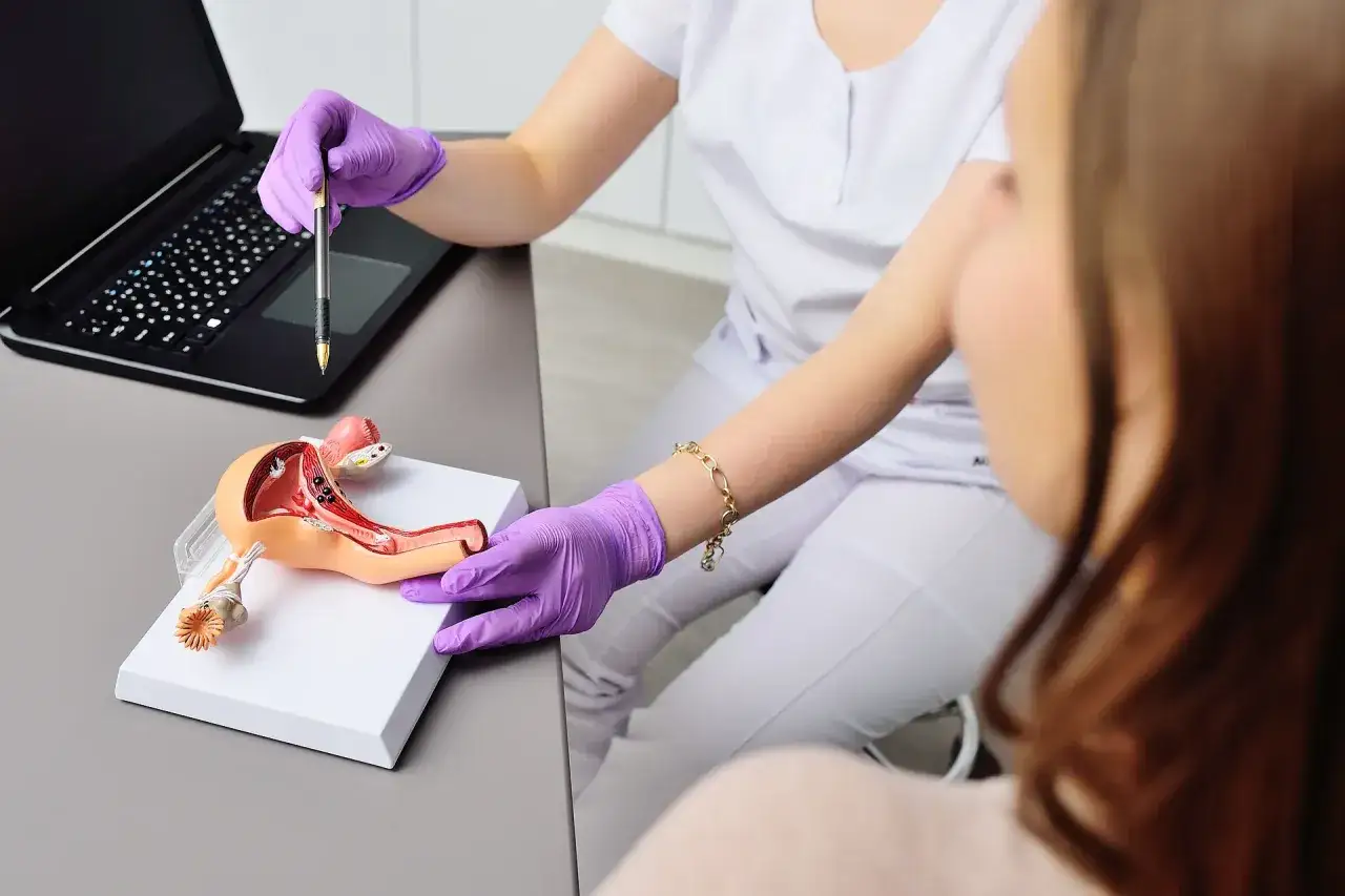 Lekarka w rękawiczkach pokazuje pacjentce model narządów rodnych, omawiając biopsję endometrium.