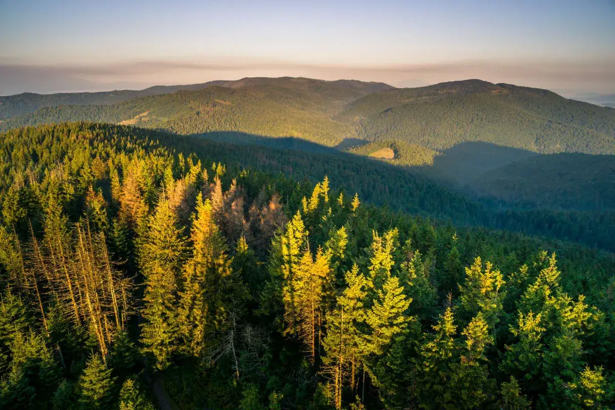Gorce panoramy polany Turbacz