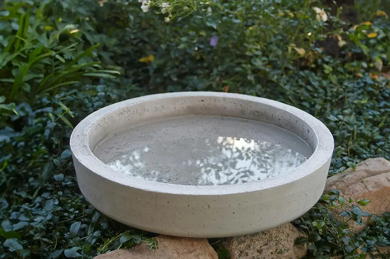 Ett enkelt f&aring;gelbad diy i betong, fyllt med vatten och omgivet av gr&ouml;nska.