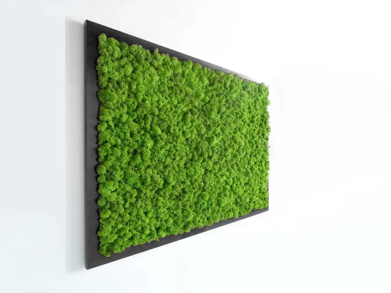 Tableau végétal stabilisé, un concentré de nature pour fabriquer un tableau végétal stabilisé.