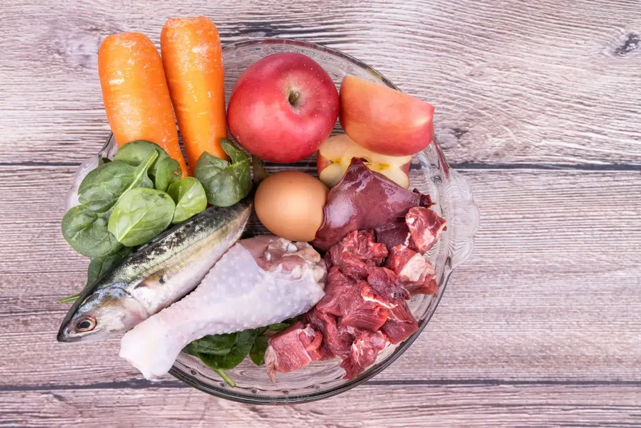Ingredientes para comida natural para perros: zanahorias, manzana, espinacas, pescado, pollo, huevo y carne cruda.