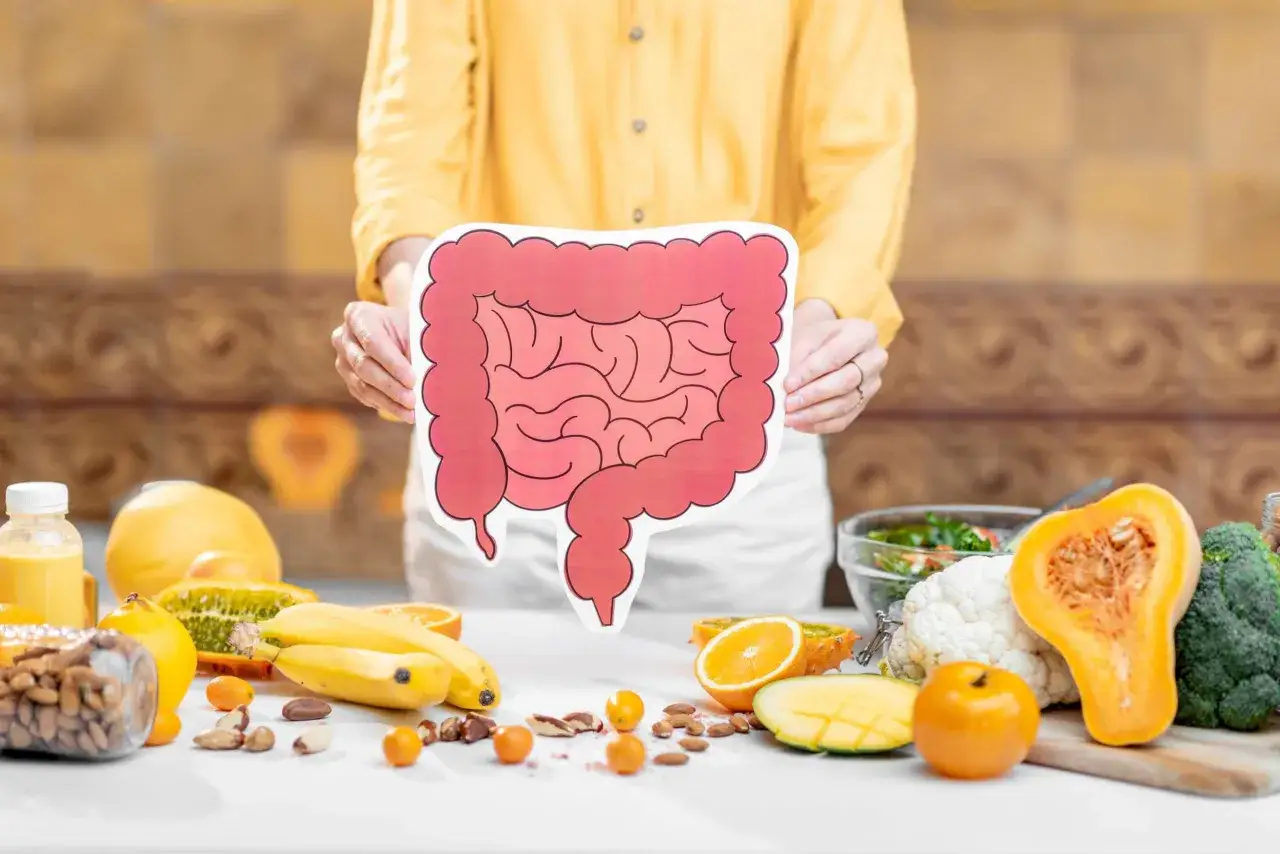 Eine Person h&auml;lt ein Modell des Verdauungstrakts, umgeben von darmfreundlichen Lebensmitteln wie Obst, Gem&uuml;se und N&uuml;ssen.