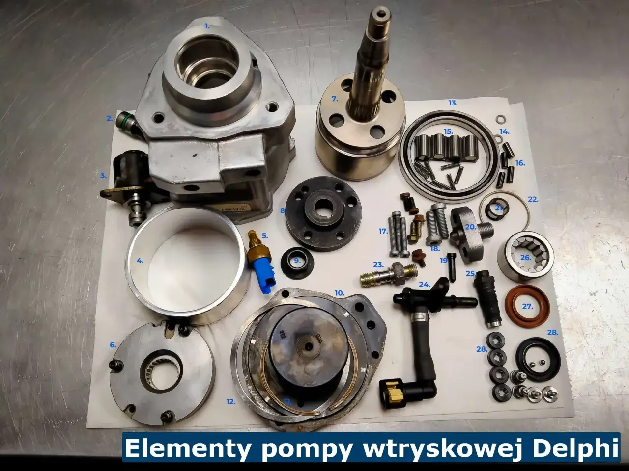 Rozłożona pompa rotacyjna, widoczne elementy budowy: obudowa, wałek, tłoczki, uszczelki i śruby.
