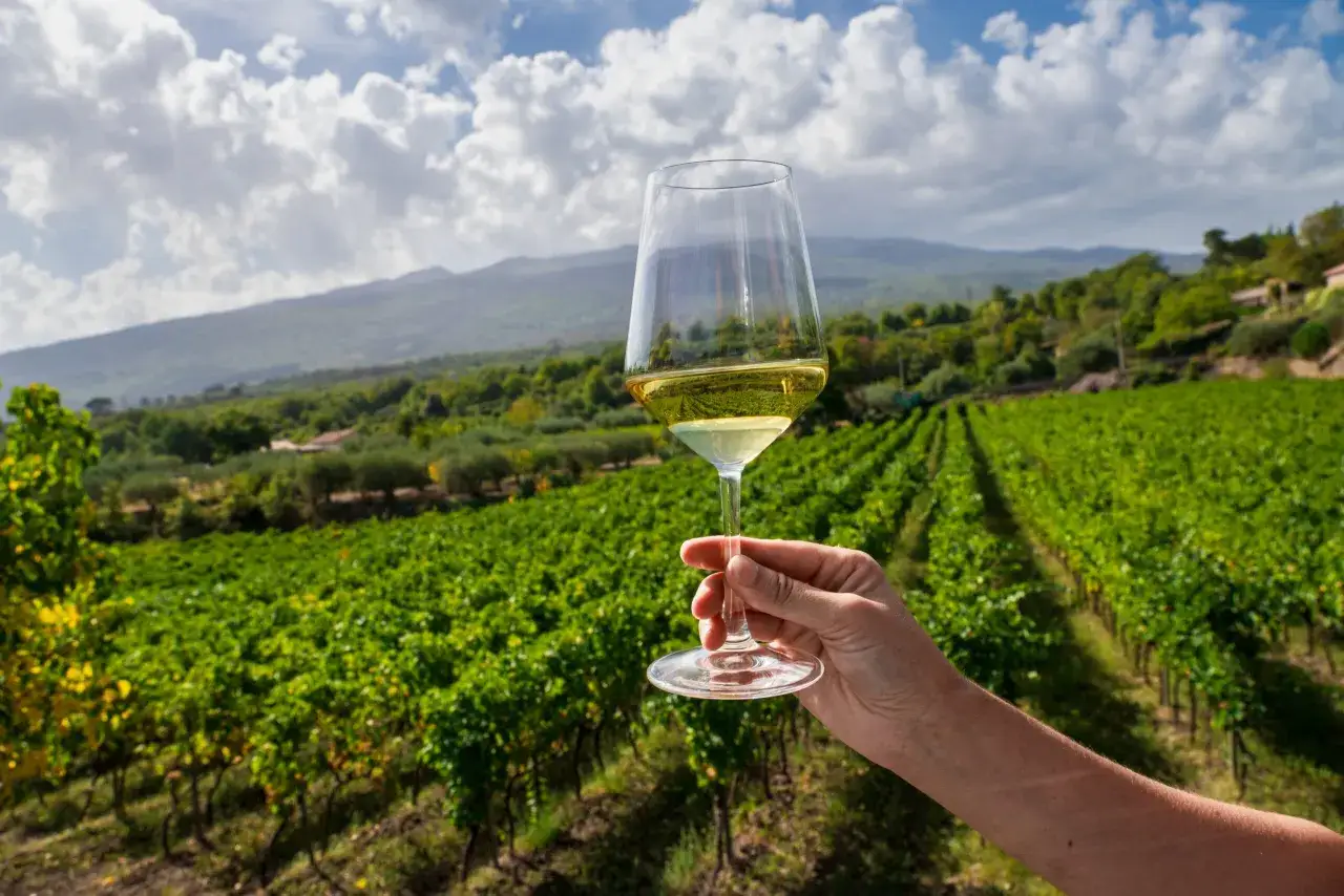 Un bicchiere di Carricante Etna Bianco si staglia contro un vigneto rigoglioso e le pendici dell'Etna.