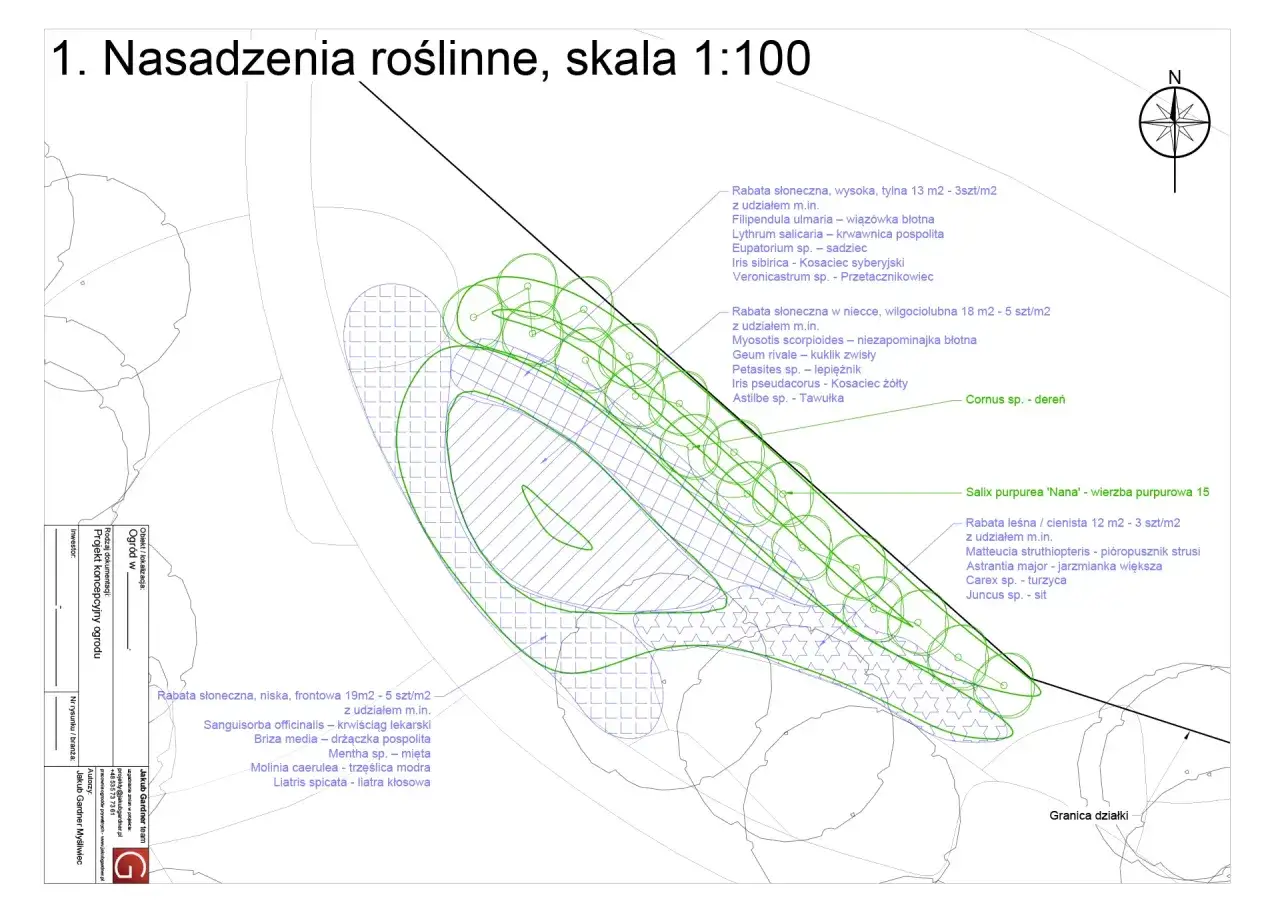 Plan nasadzeń roślinnych z podziałem na rabaty, uwzględniający argumenty merytoryczne dotyczące gatunków i ich rozmieszczenia.