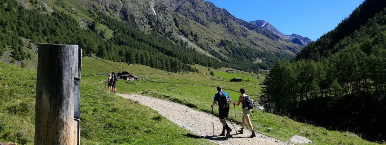 Escursionisti sul sentiero nel **Val di Fosse**, circondati da verdi pendii boscosi e montagne imponenti.