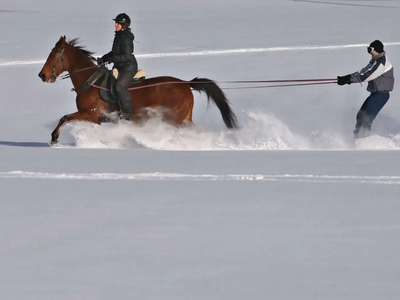 Eine Reiterin auf einem braunen Pferd galoppiert durch tiefen Schnee. Ein Skifahrer wird vom Pferd gezogen.