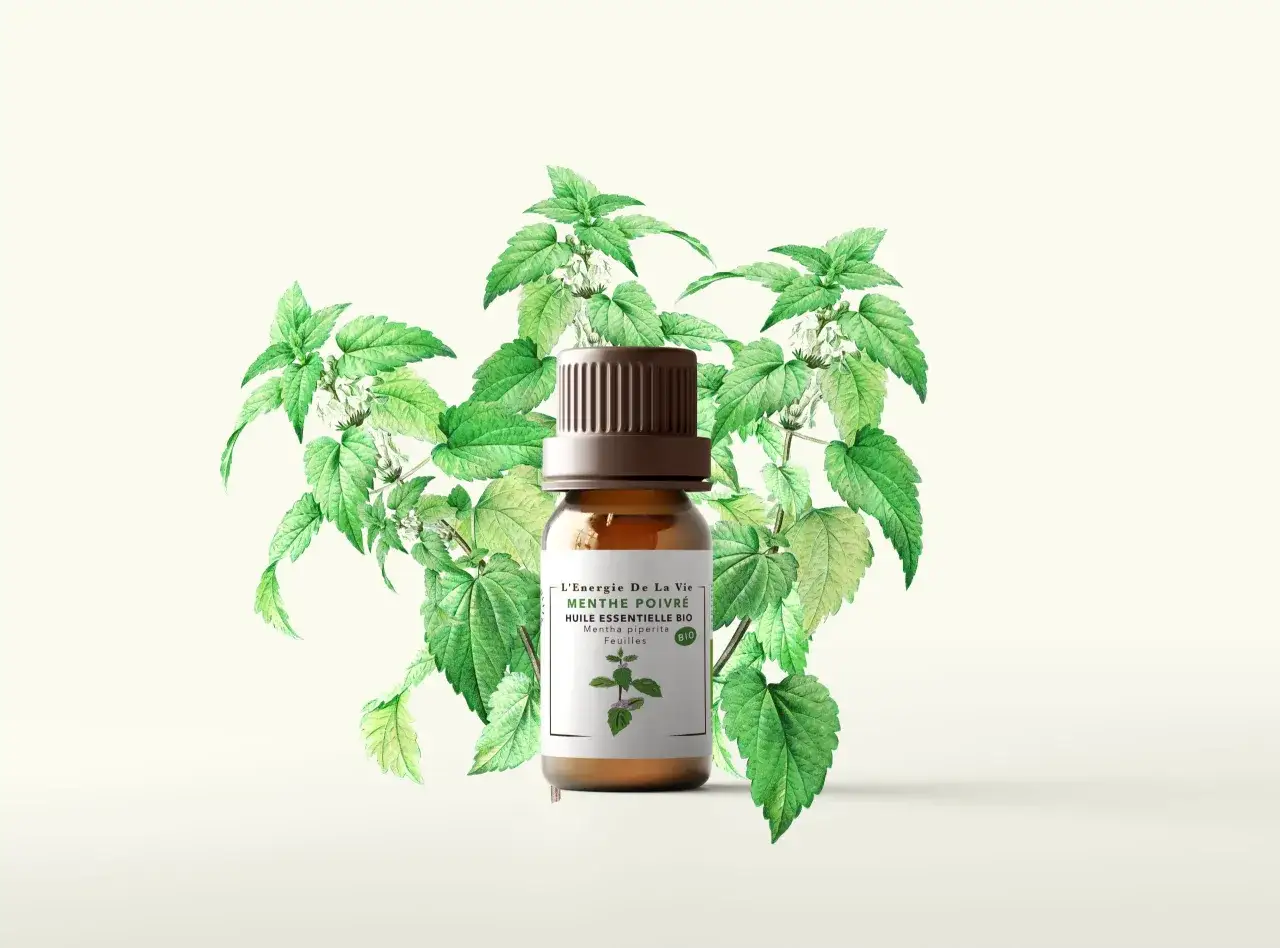 Flacon d'huile essentielle de menthe poivrée bio, entouré de feuilles vertes. Attention, la menthe poivrée danger si mal utilisée.