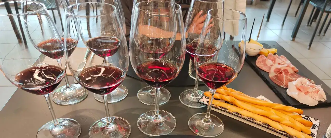 Degustazione di nebbiolo vino: le sue caratteristiche emergono dal colore rubino intenso e dai profumi complessi. Accompagnato da salumi e grissini.