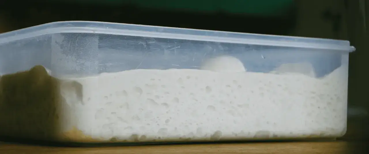 Puszyste ciasto na pizzę z kilograma mąki rośnie w przezroczystym pojemniku, tworząc bąbelki.