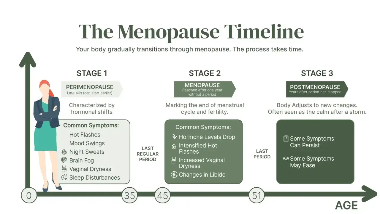 Chronologie de la m&eacute;nopause : changements corporels, bouff&eacute;es de chaleur, variations de la temp&eacute;rature corps femme, et autres sympt&ocirc;mes.