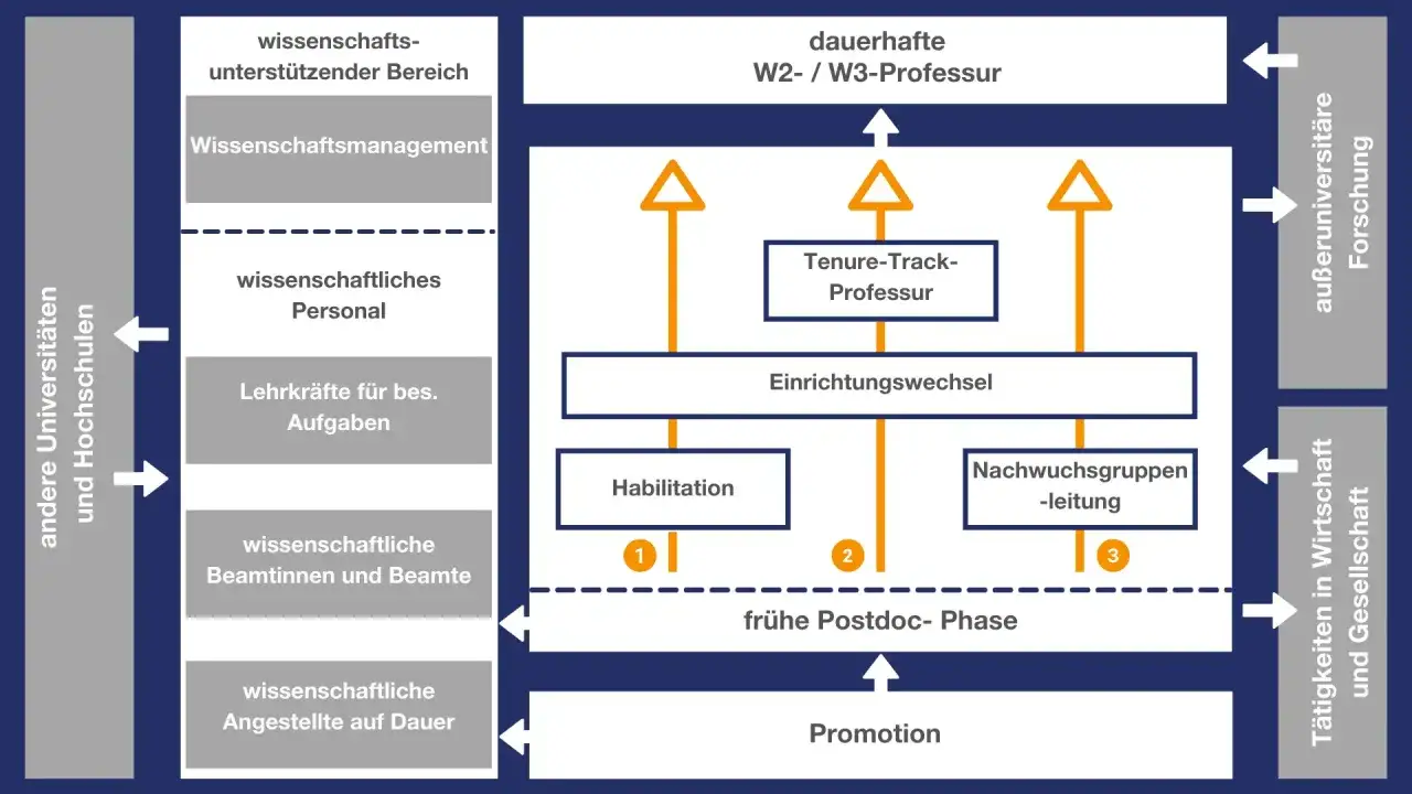 Der Weg zum Professor: Promotion, Habilitation, Tenure-Track-Professur f&uuml;hren zur W2/W3-Professur.