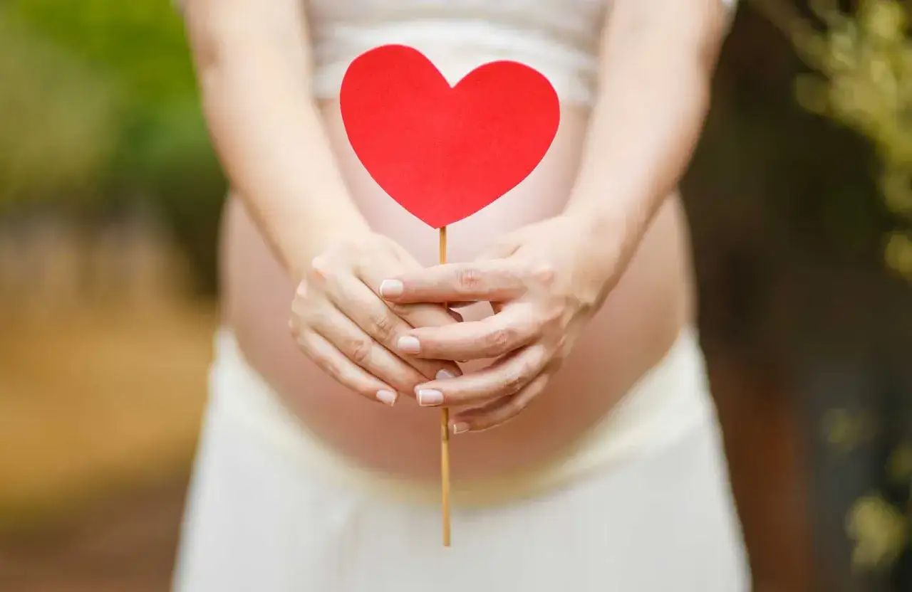 Gravid mage med händer som håller ett rött hjärta. En påminnelse om förlorad glädje och ett tidigt missfall.