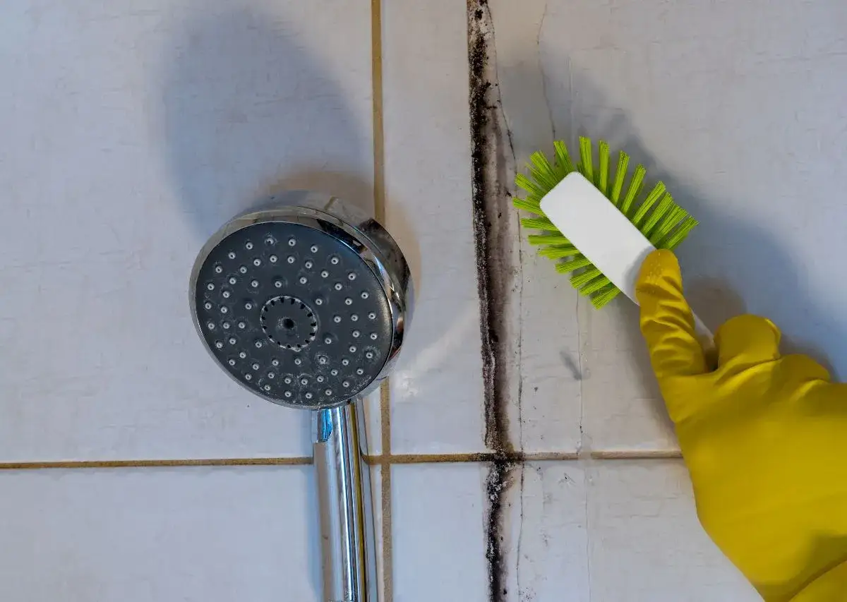 Yellow-gloved hand scrubs black mold from shower tiles, showing how to get rid of mold. A showerhead is visible.