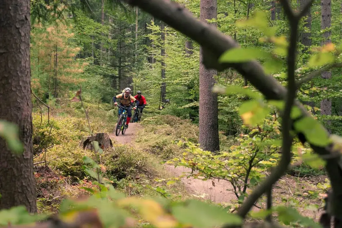 Zwei Radfahrer auf einem **mountainbike trail** im Wald. Der vordere Fahrer tr&auml;gt ein gelbes Shirt, der hintere ein rotes.