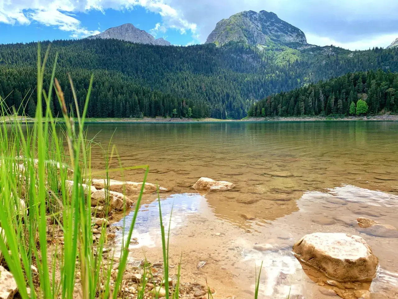 Spokojne jezioro w Durmitor National Park, otoczone gęstym lasem iglastym i majestatycznymi górami.