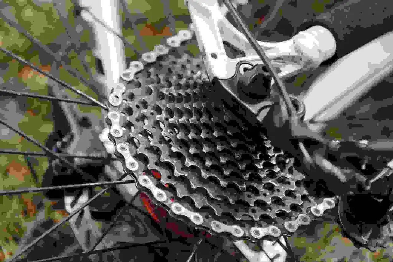 Close-up of a bicycle's rear cassette, showcasing the intricate gears and chain. A debate between SRAM vs Shimano components is often sparked by such detailed engineering.