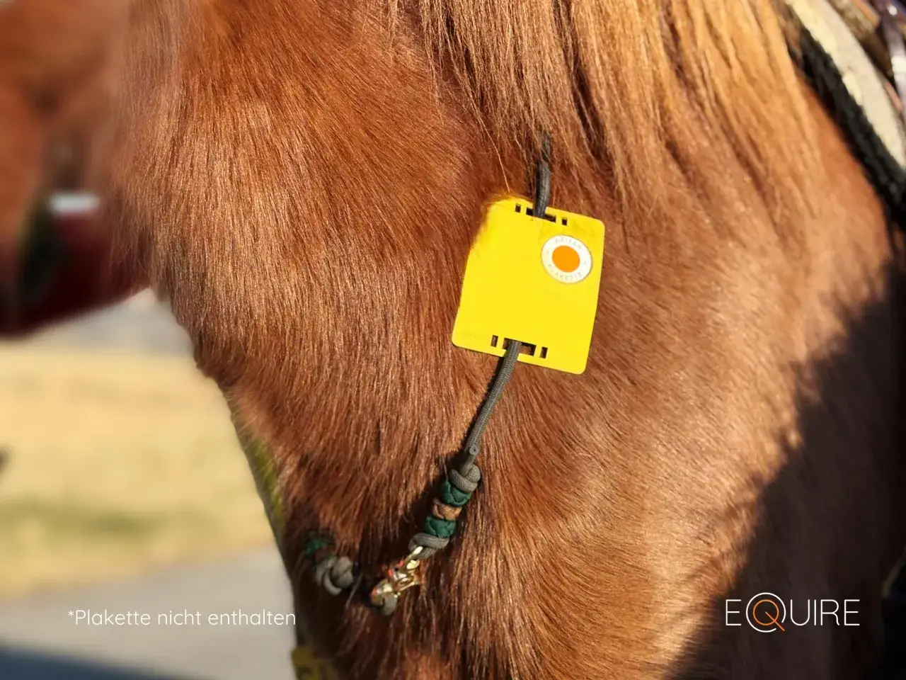 Nahaufnahme eines Pferdes mit einem gelben Anh&auml;nger, der an einer Schnur befestigt ist. Gute Erfahrungen mit GPS-Tracker-Pferd-Erfahrungen.