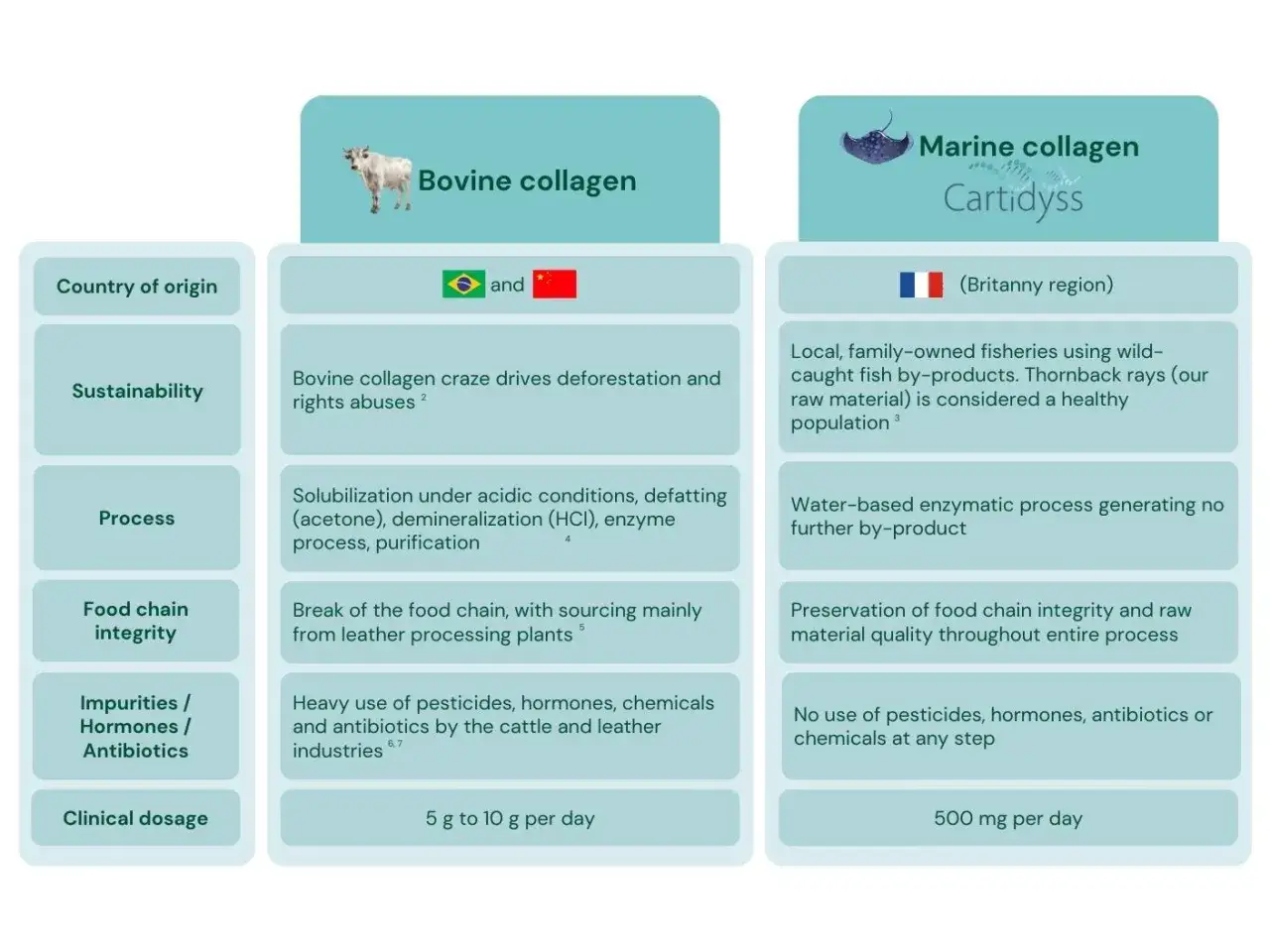 Confronto tra collagene marino e bovino: origine, sostenibilit&agrave;, processo, integrit&agrave; della filiera, impurit&agrave; e dosaggio. Meglio collagene marino o bovino?