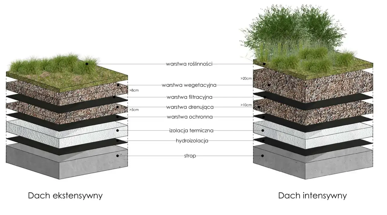 Schemat dw&oacute;ch typ&oacute;w zielonych dach&oacute;w: ekstensywnego i intensywnego, z warstwami roślinności, substratu, drenażu i izolacji.