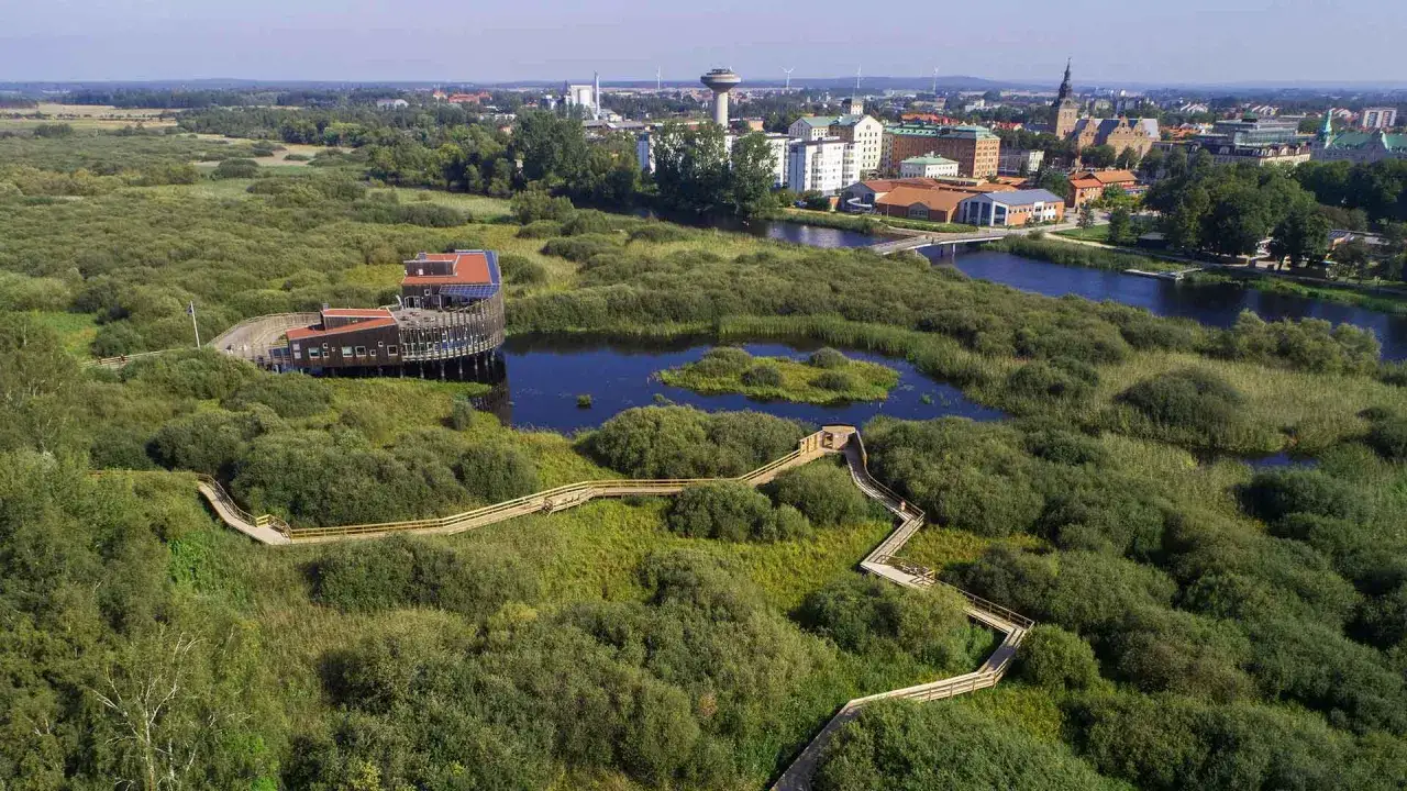 Vacker natur och sp&auml;nnande aktiviteter i Kristianstad. En tr&auml;promenad slingrar sig genom ett gr&ouml;nskande landskap med en modern byggnad vid vattnet.