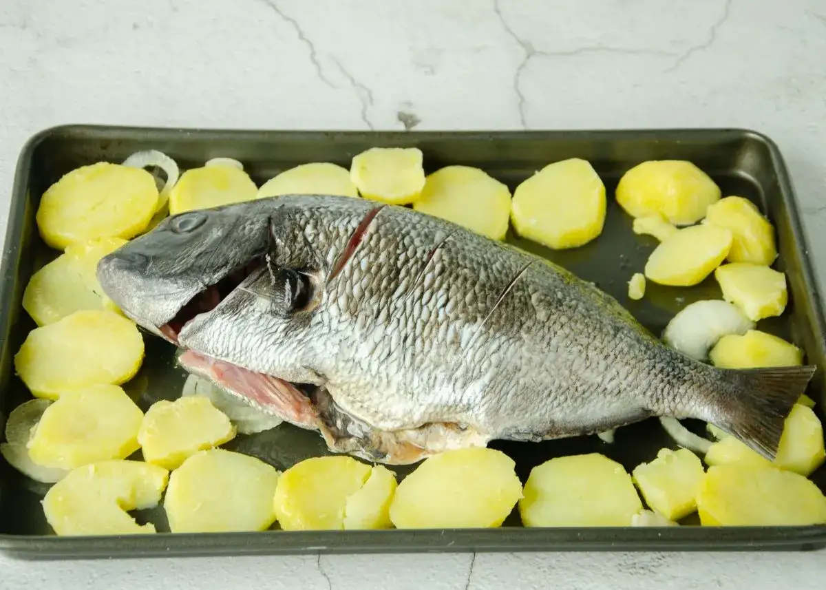 Un sargo entero, preparado para hornear con rodajas de patata y cebolla en una bandeja.
