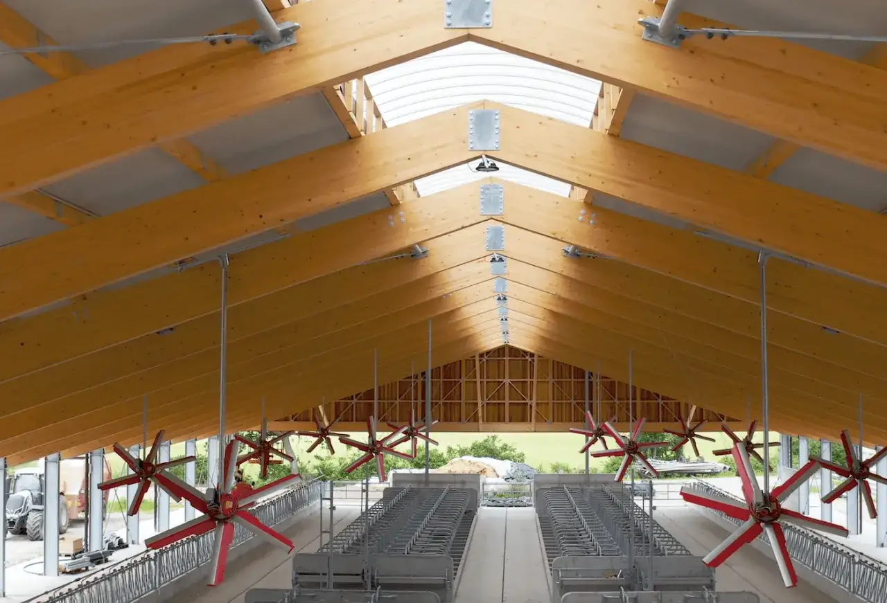 Interno di stalle moderne con struttura in legno, ventilatori a soffitto e file di recinti per animali.