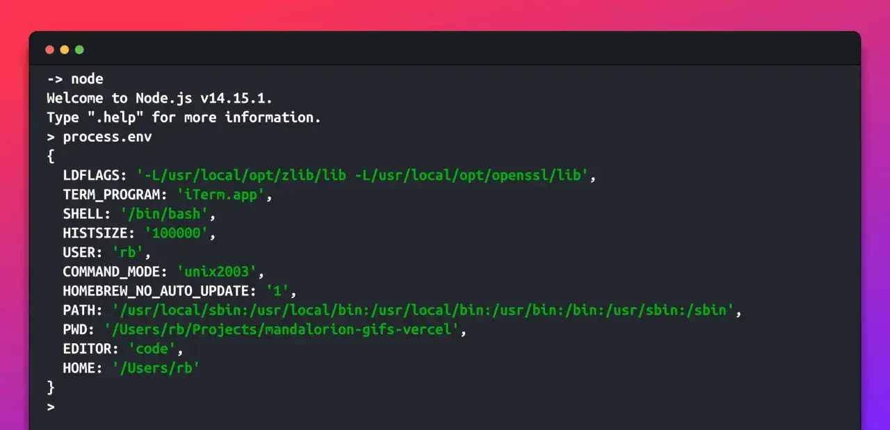 Terminal affichant `process.env` dans Node.js, r&eacute;v&eacute;lant les variables d'environnement comme `PATH`, `USER`, et `PWD`.