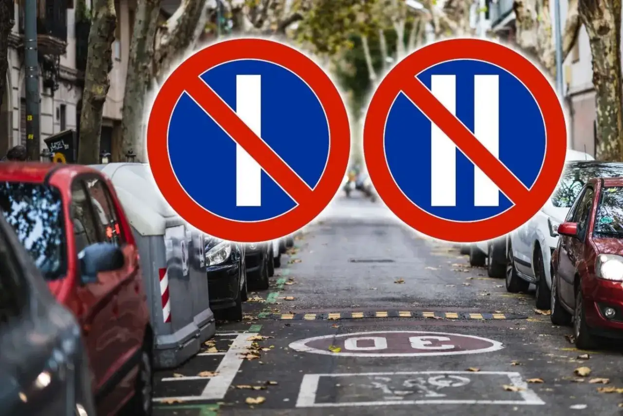 Dwa znaki zakazu parkowania na ulicy z samochodami. Jeden zakazuje postoju, drugi zatrzymywania się.