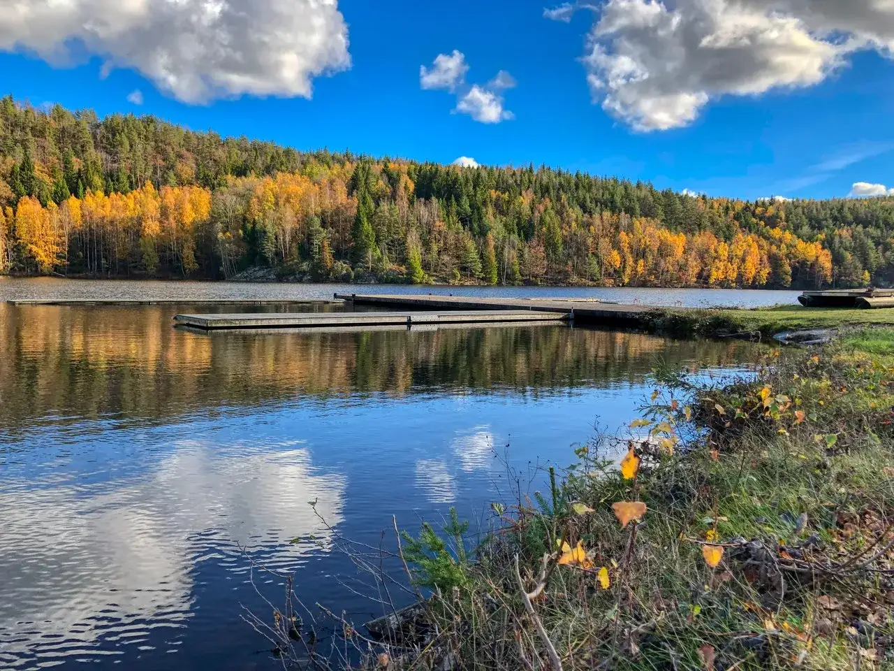Vacker höstfärgad skog speglas i en lugn sjö i norra Sverige. Flytbryggor ligger vid strandkanten under en klarblå himmel med vita moln.