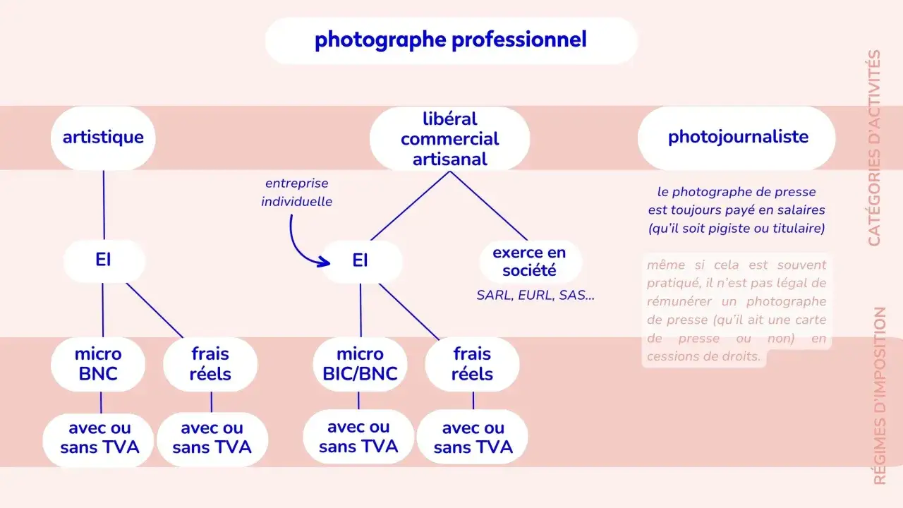 Sch&eacute;ma des statuts pour un auto entrepreneur photographe : artistique, lib&eacute;ral, commercial, artisanal, photojournaliste.