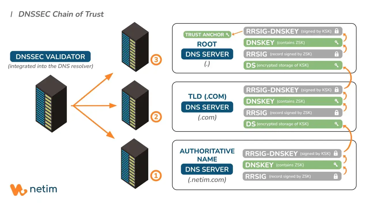 Łańcuch zaufania DNSSEC: walidator DNS, serwery DNS (root, .com, .netim.com) i ich klucze. Dnssec co to? To bezpieczeństwo DNS.