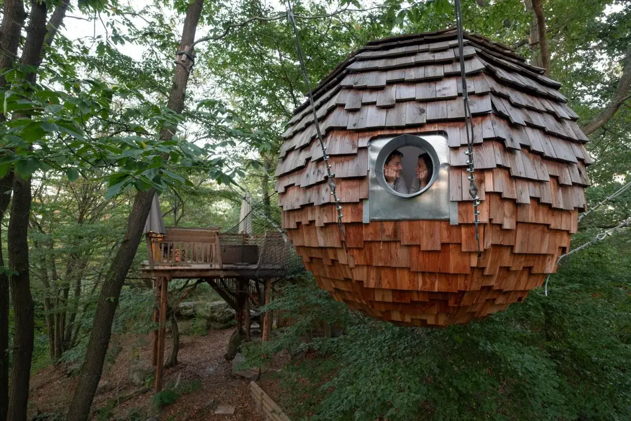 Un couple admire la vue depuis une cabane dans les arbres futuriste, une merveille architecturale suspendue dans la forêt des Hauts-de-France.