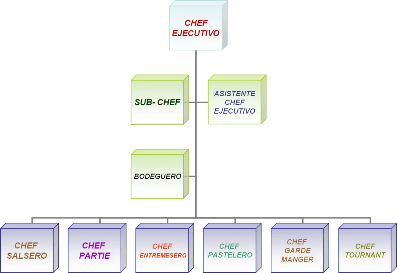 Organigrama que muestra la jerarquía culinaria, ilustrando la diferencia entre chef y cocinero.