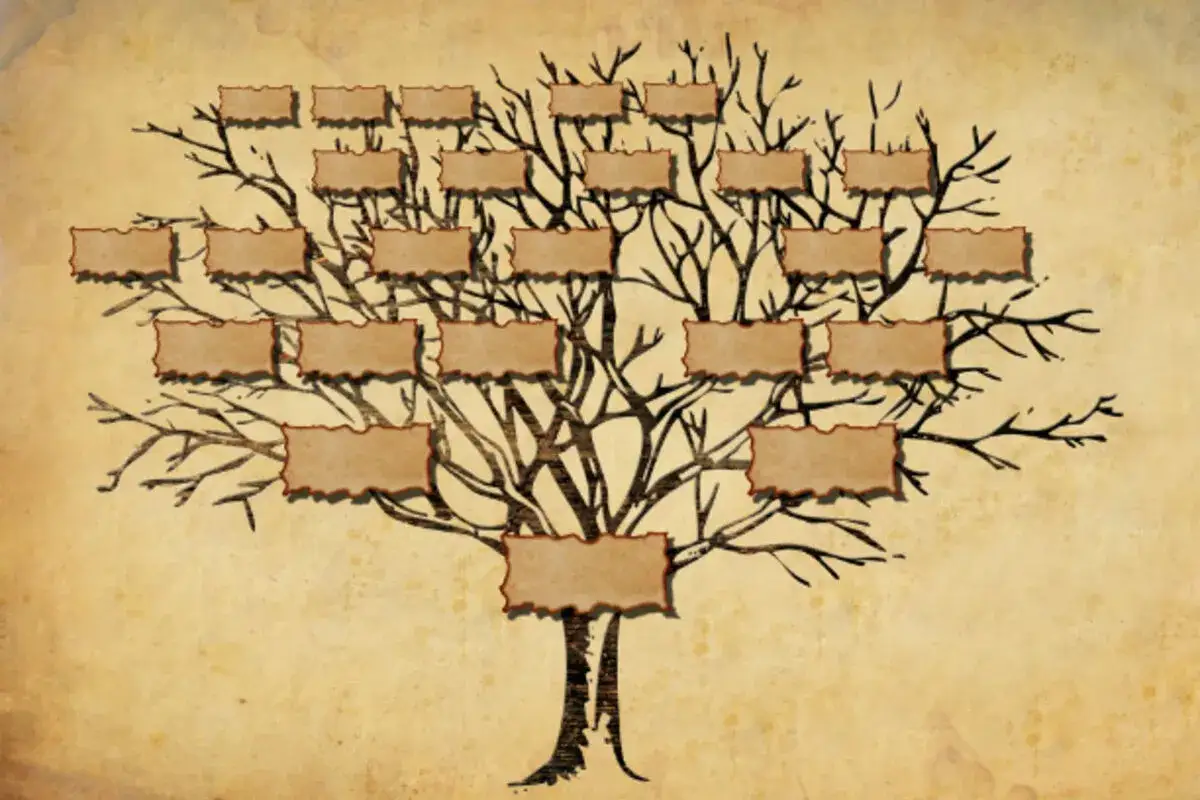 Arbre g&eacute;n&eacute;alogique stylis&eacute; avec des emplacements vides pour les noms, &eacute;voquant la recherche d'archives &eacute;tat civil allemagne en ligne.